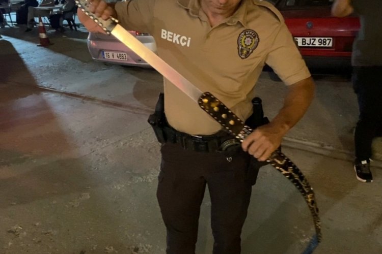 Bursa'da şok görüntü! Suriyelinin üzerinden çıktı, tam 60 cm...