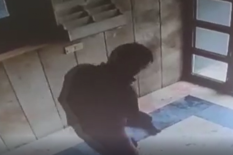 Kediye eziyet eden cani enselendi!