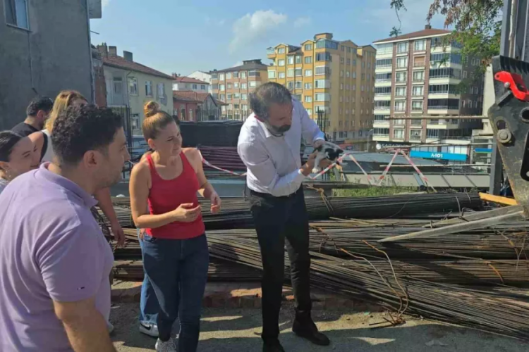 Yavru kedi inşaat demirlerinden kurtarıldı