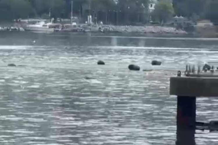 Bursa'da utandıran manzara! Resmen çöplüğe döndü...