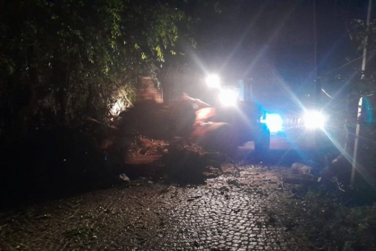 Rize'de heyelan: Yol ulaşıma kapandı