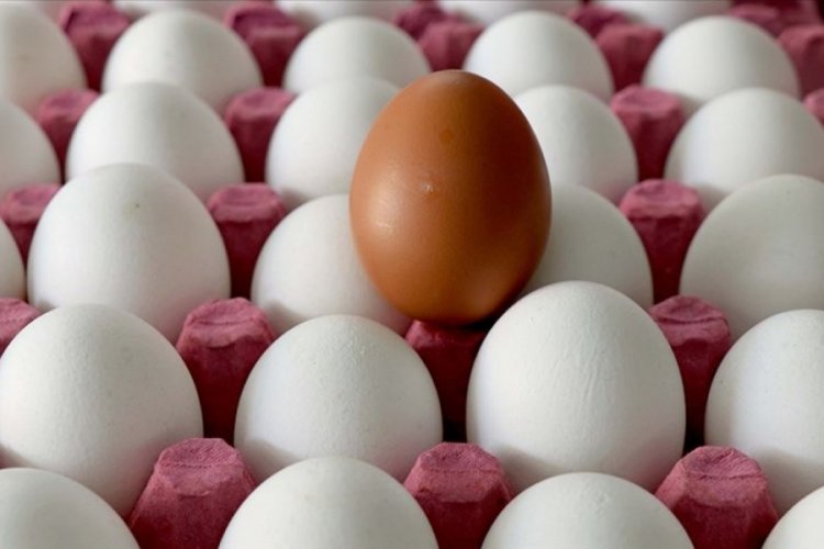 Kahverengi mi beyaz mı? Hangi yumurta daha sağlıklı?