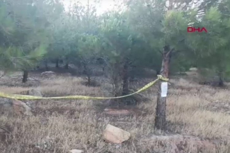 Bir ilde daha ormanlara girişler yasaklandı