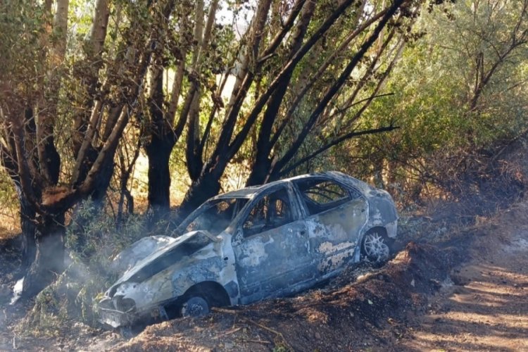 Ağaca çarpan otomobil alev aldı: Sürücünün burnu bile kanamadı