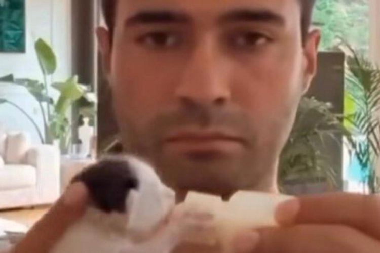 Mert Demir: İkinci kez baba oluyorum