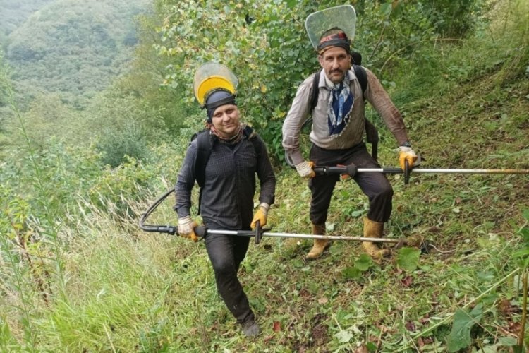 Sadece 15 gün çalışıyorlar: 'Günlük 6 bin TL isteyen var'