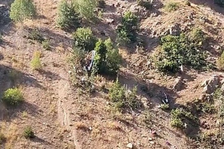 Yolculuk kabusa döndü! Ölü ve yaralılar var