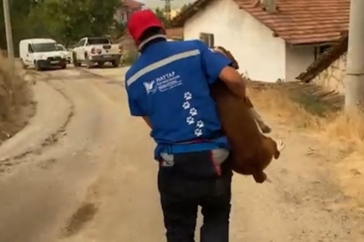 Bursa'da dumanlar arasından gelen mucize!