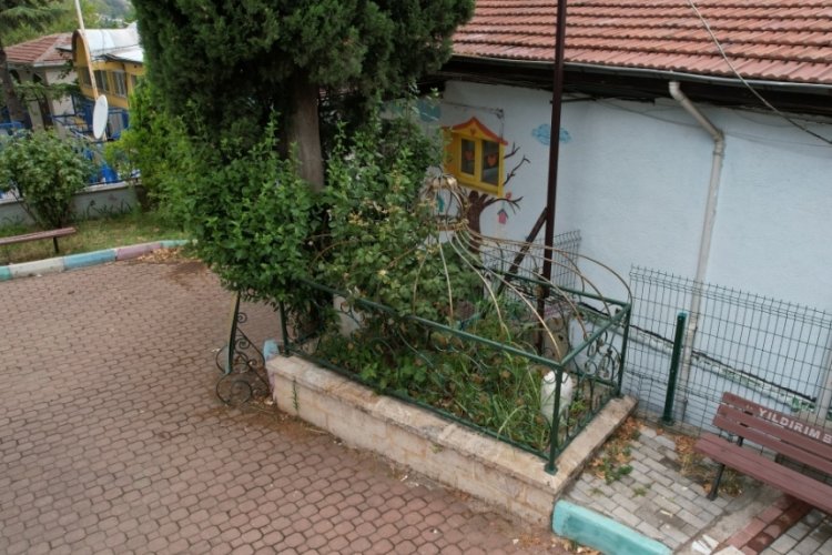 Bursa'da yalnızlığa terk edilen kabir!