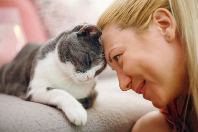 Kedi ya da köpek tüyü ölüme neden olur mu?