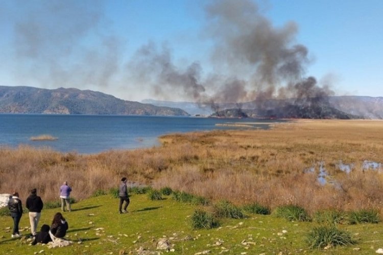 Muğla'da 1 hektarlık alan yandı!