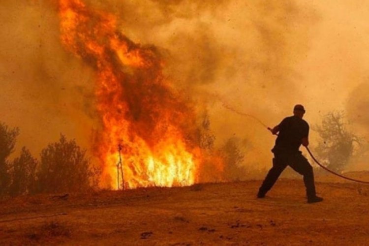 Yunanistan'da yangın alarmı: 3 kişi kundaklama şüphesiyle gözaltına alındı