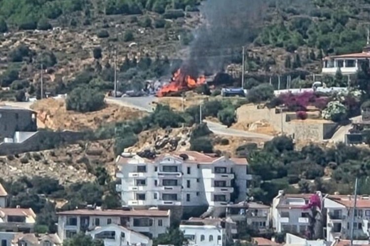 Muğla'da 1,5 dönümlük alan yandı!