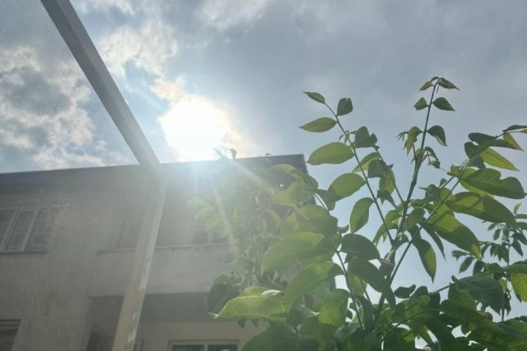 Bursa'da dolu topları patladı! Tepki gösteren de var, 'mecburuz' diyen de...