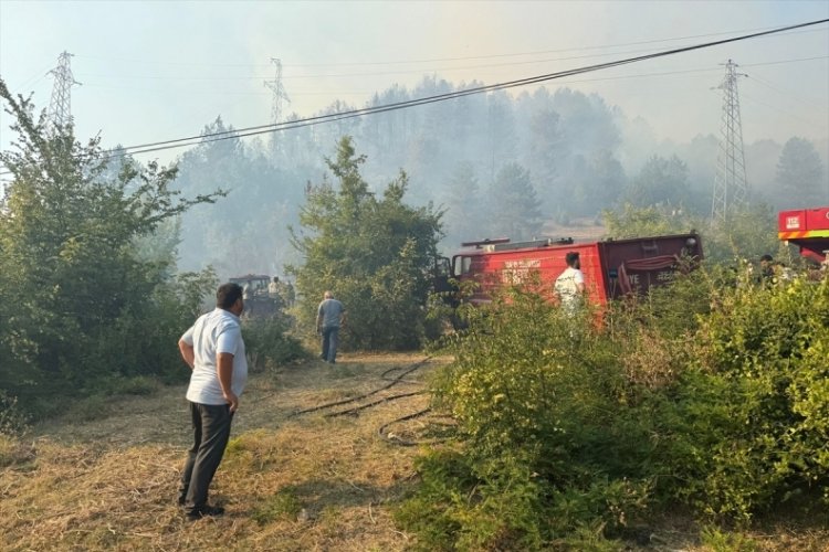 4 ayrı noktada yangın! Yerleşim alanlarına sıçramaması için mücadele sürüyor...
