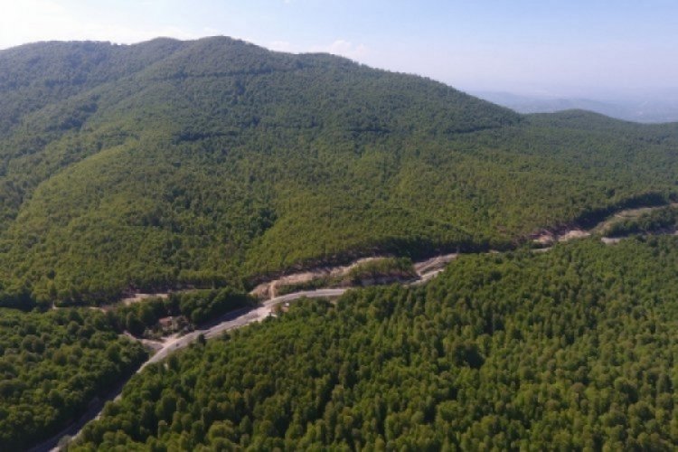 Bursa'da 17 ilçe zabıtasından ortak karar! Göz açtırılmayacak...