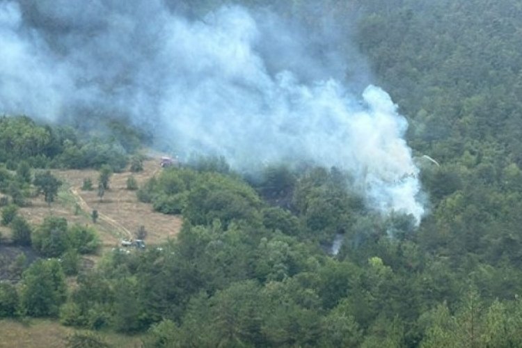 Bolu'da orman yangını: Müdahale sürüyor
