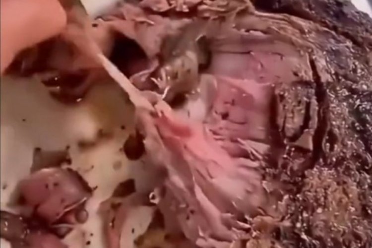 Yapay etler giderek yaygınlaşıyor!