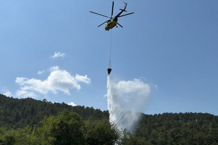 Bolu'daki orman yangını kısa sürede kontrol altına alındı
