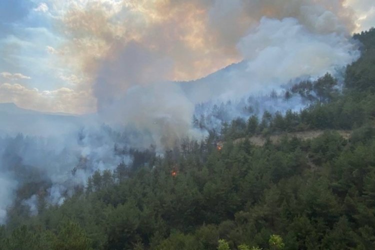 Karabük'te ormanlık alanda yangın