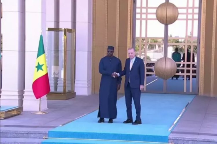 Senegal ile stratejik ortaklık! Cumhurbaşkanı Erdoğan resmi törenle karşıladı