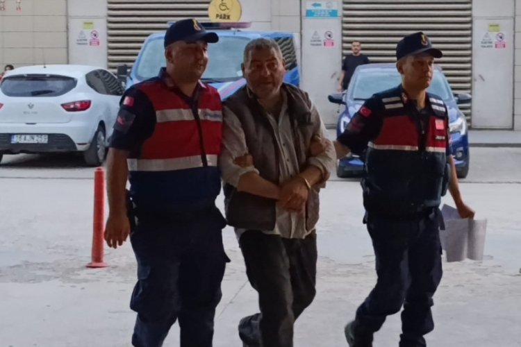Bursa'da evinde yetiştiriyordu! Akıllara durgunluk verdi...