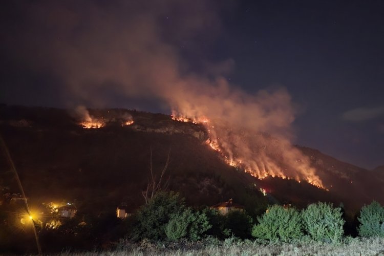 Orman yangınında 9 saat geride kaldı! Müdahale sürüyor...