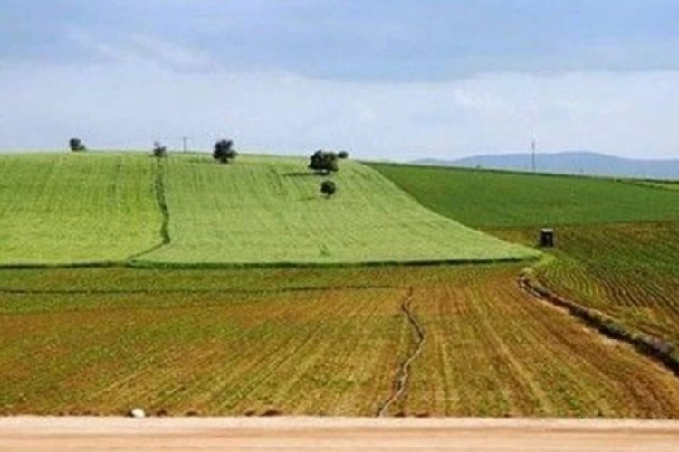 Eylülde başlıyor: Ekilmeyen tarla kiralanacak 