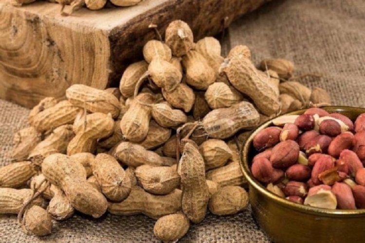 Türkiye'den gönderilen fındıklar kanser riski taşıdığı için sınırda reddedildi