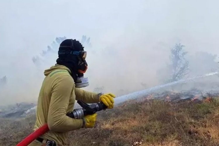 Bolu'da orman yangını: Müdahale başladı