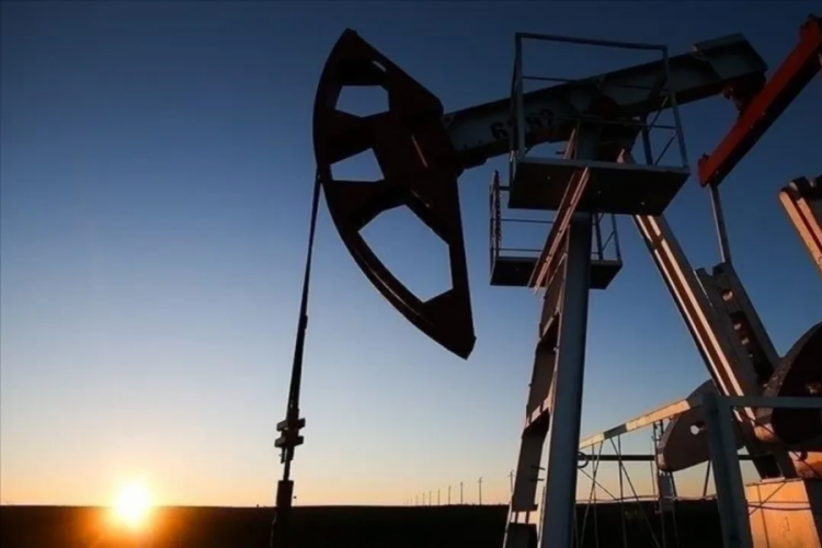 Citi'den çarpıcı petrol tahmini: Bu olursa pompa ucuzlar