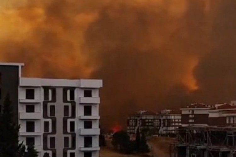 Bir ilimizde büyük yangın! Alevler hastaneye yaklaştı