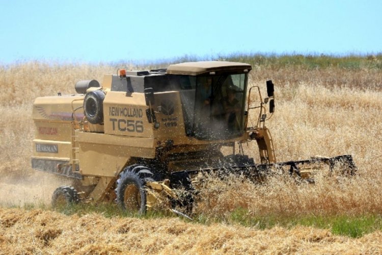 Küresel gıda fiyatları temmuzda yükseldi 