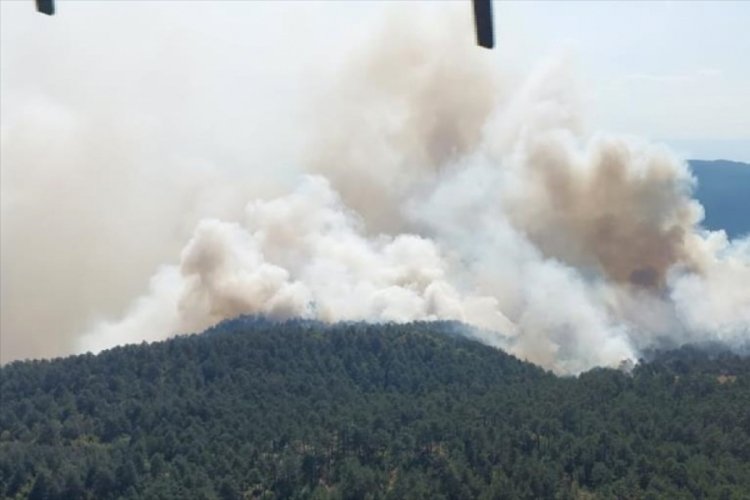 Orman yangınlarıyla mücadele devam ediyor! Bir köy tahliye edildi...