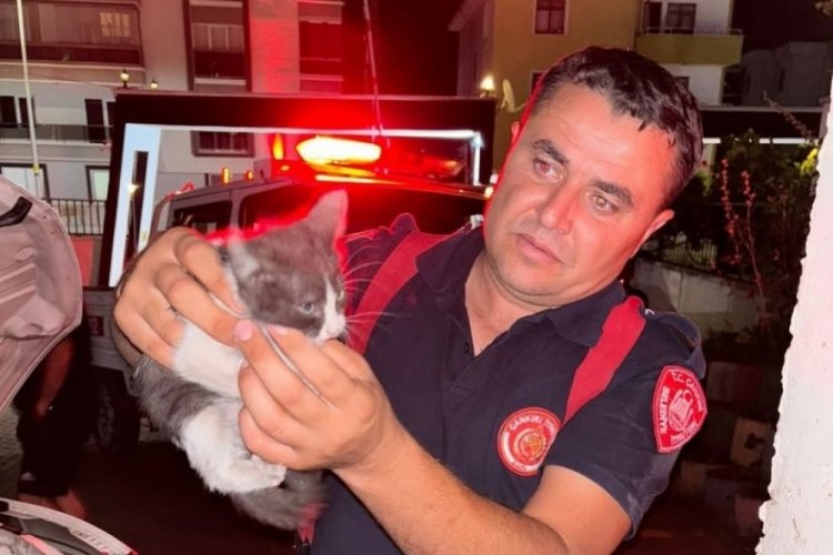 Otomobilin motoruna sıkışan kedi için ekipler seferber oldu!