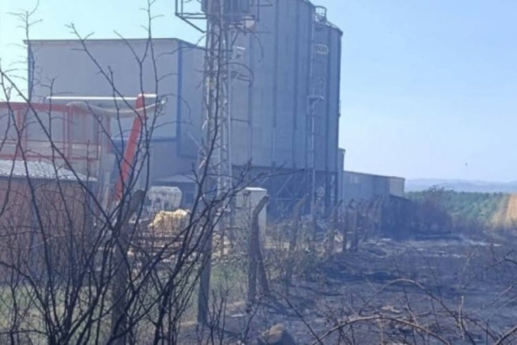 Edirne'de anız yangını, fabrikaya sıçramadan söndürüldü