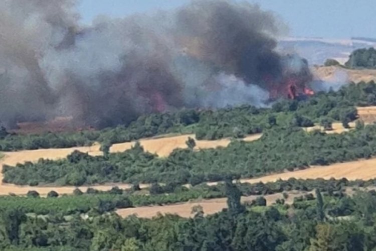 Çanakkale'de orman yangını