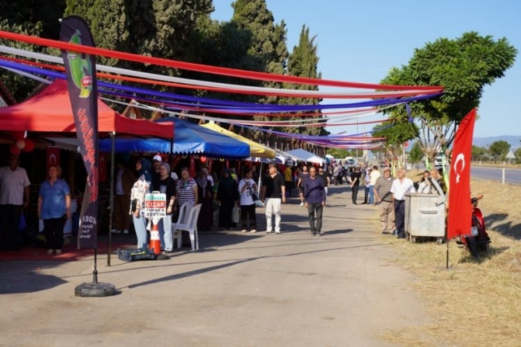 Bursa'da geleneksel turşu festivalinin yapılacağı tarih belli oldu!