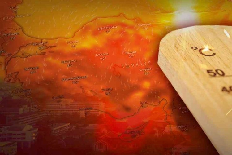 Termometreler 42 dereceyi gördü: Bunaltıcı sıcaklar zor anlar yaşattı