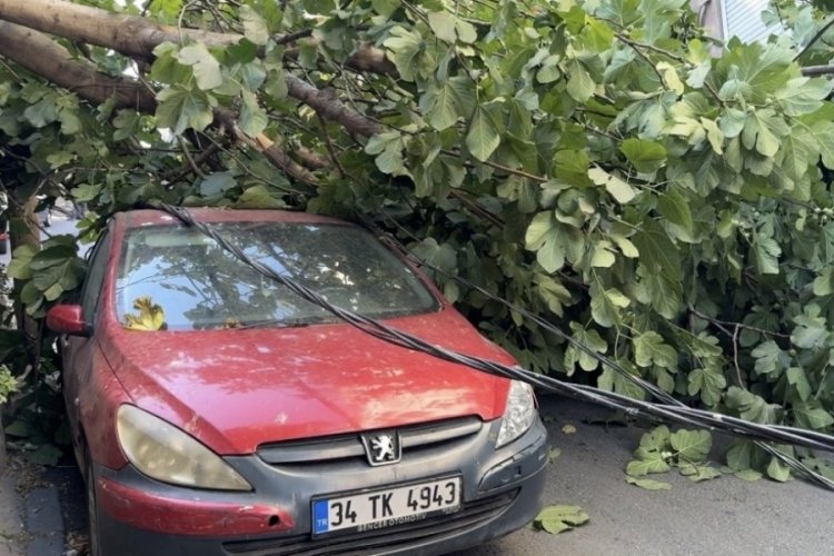 Ağaç ve elektrik direği araçların üstüne düştü! Ciddi maddi hasar var...