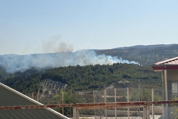 Hatay'da çıkan orman yangını kontrol altına alındı