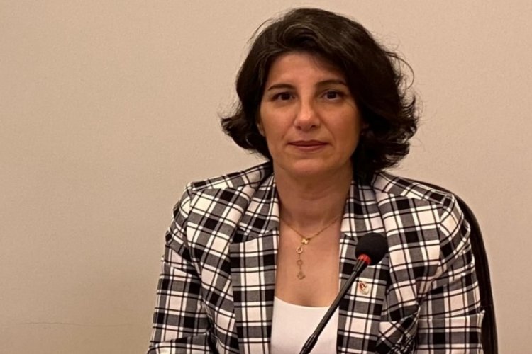 BVHO'dan açıklama! "Veteriner fakülteleri yol geçen hanı olmamalı"