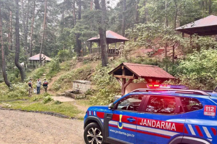 Ormanda mangal yakanlara ceza yağdı!