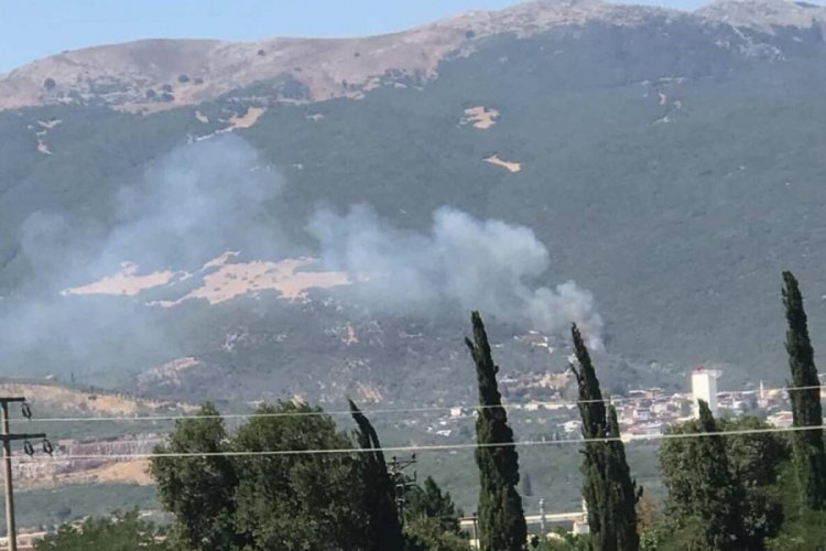 Bursa'da orman yangını! Yerleşim yerine çok yakın...