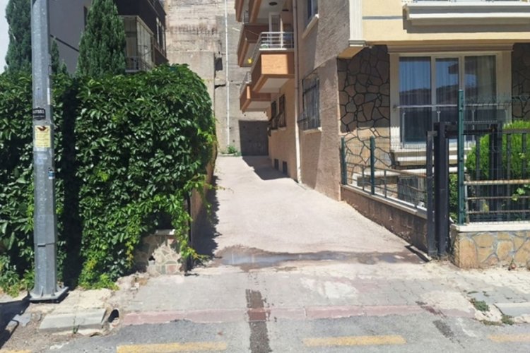 Polis, sokak köpeğini tabancayla öldürdü