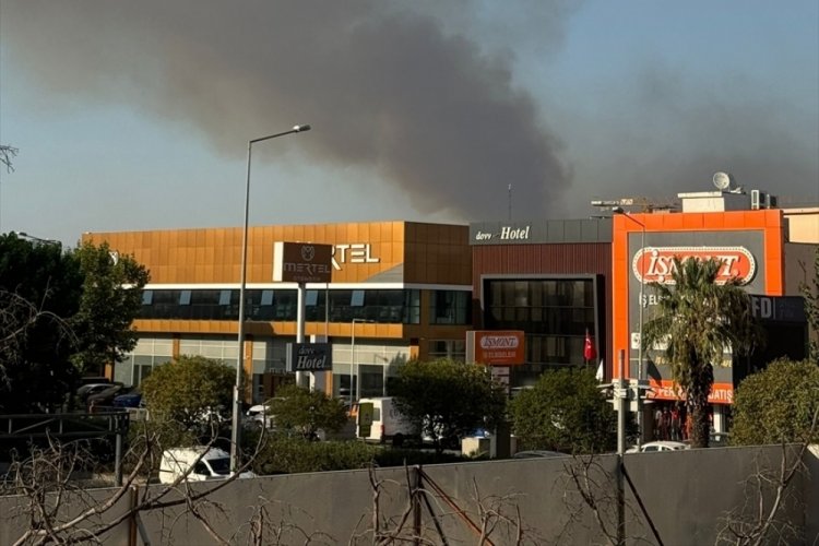 Yangın ormanlık alana sıçradı! Müdahale sürüyor...