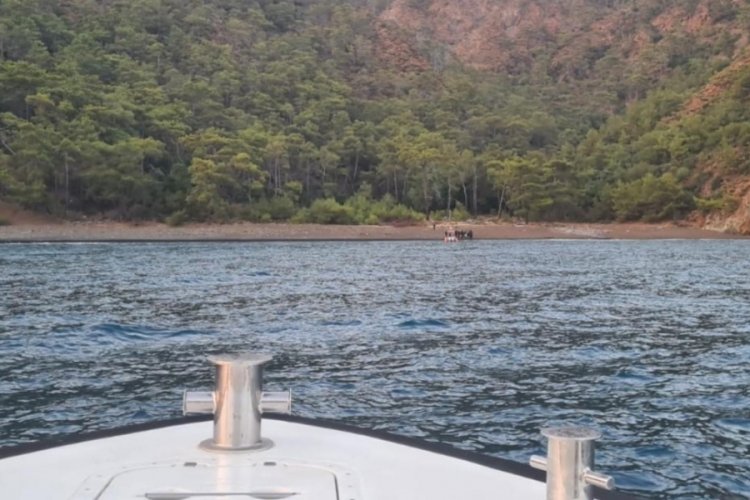 İspanya'nın göçmen sorunu artarak devam ediyor...