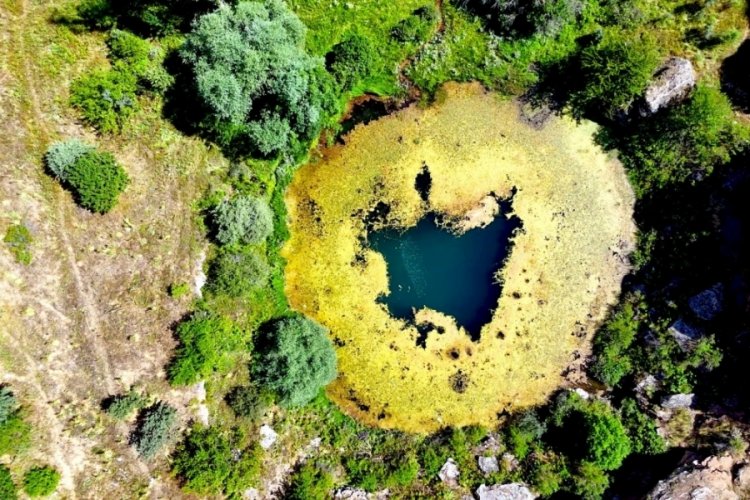 Timsah gözüne benziyor diye herkes oraya gidiyor!