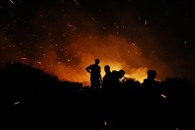 Arnavutluk'ta orman yangını: Ölü ve yaralılar var