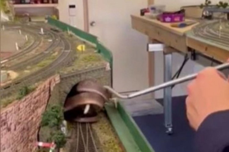 Oyuncak tren tünelinden zehirli yılan fırladı! Aileler şoke oldu